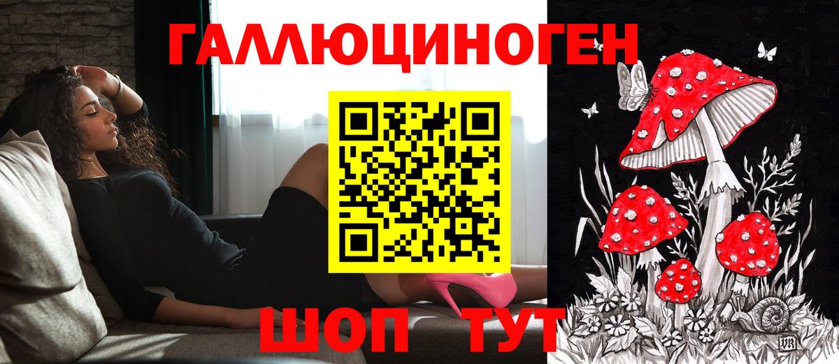Галлюциногенные грибы прущие грибы Мичуринск