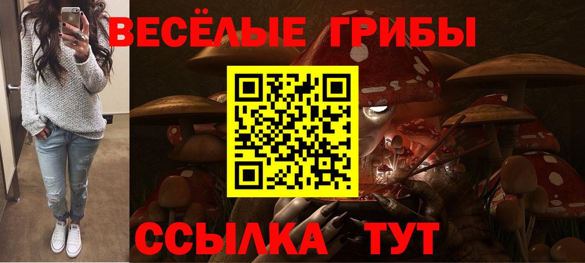 Мичуринск  Псилоцибиновые грибы прущие грибы  Вход с VPN  Псилоцибиновые грибы GOLDEN TEACHER 