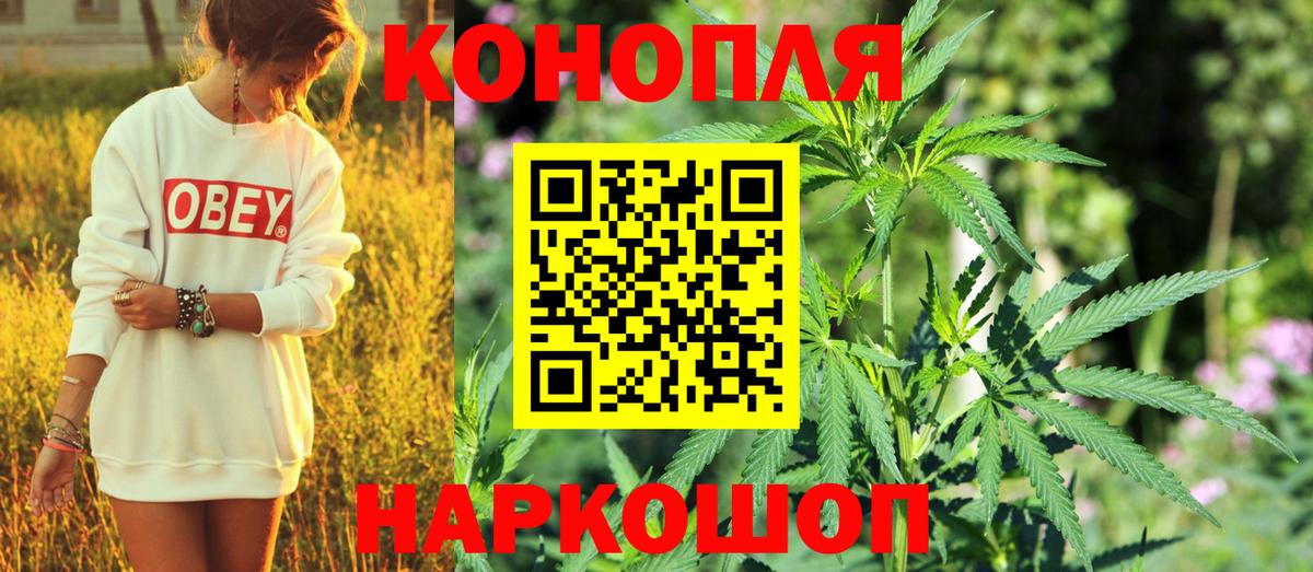 Марихуана сатива Мичуринск